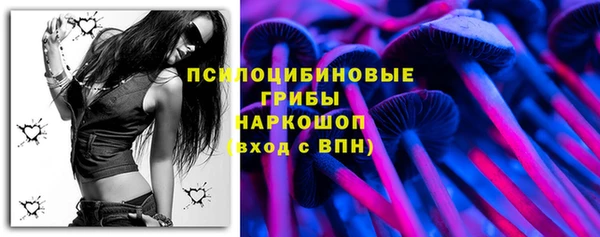 spice Балабаново