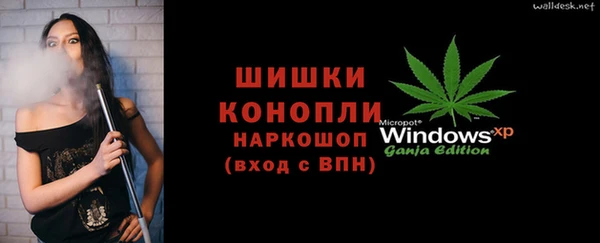 гидра Белокуриха