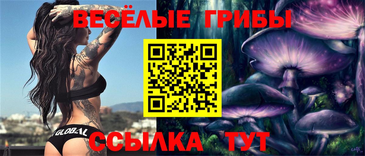 Псилоцибиновые грибы мицелий  Псилоцибиновые грибы мицелий  Вход с VPN  Краснокаменск 
